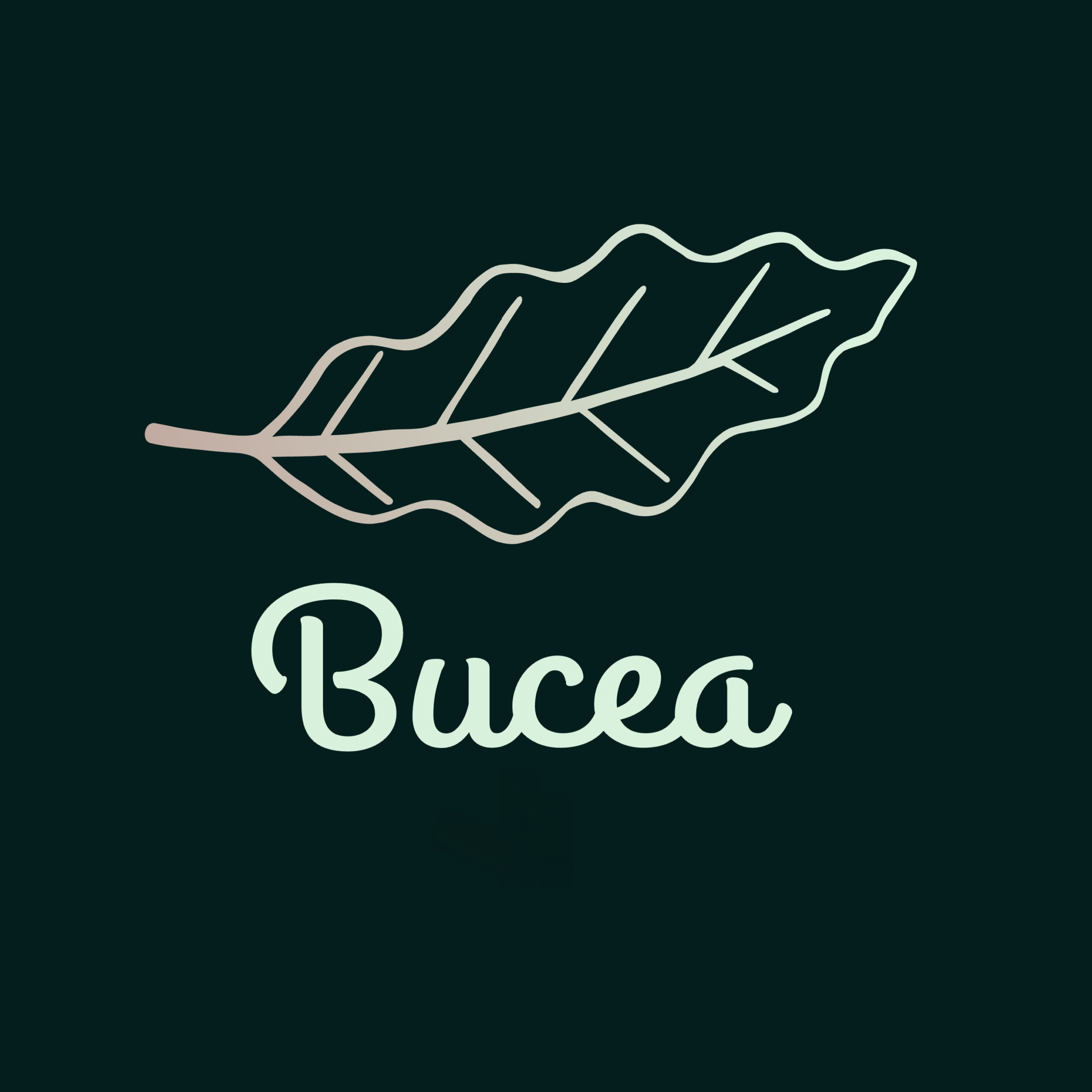 Bucea